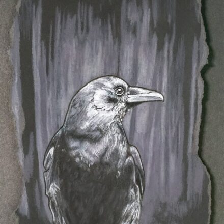 Phantom's Feather