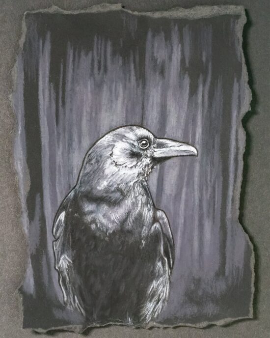 Phantom's Feather