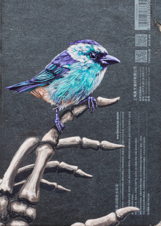Perched on the Past